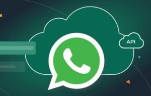 Read more about the article Enhance Business Communication with WhatsApp API in Amritsar